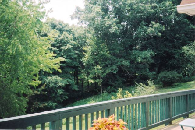 02b_ViewOffDeckSouthWest.jpg
