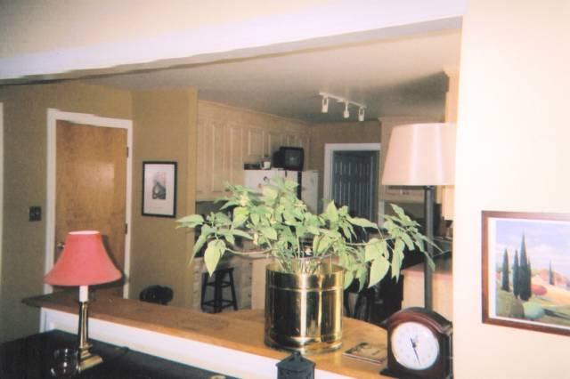 03k_FromLivingRoomToKitchen3.jpg